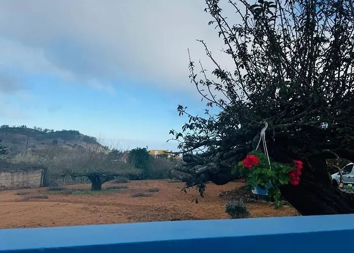 La Casita De Rosi